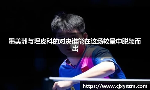 mk体育