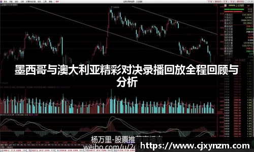 mk体育官网入口