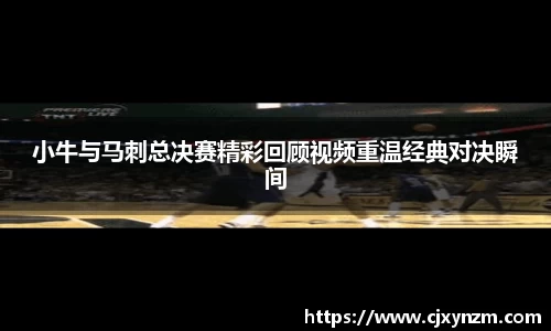 小牛与马刺总决赛精彩回顾视频重温经典对决瞬间